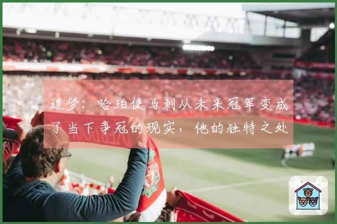 追梦：哈珀使马刺从未来冠军变成了当下争冠的现实，他的独特之处！